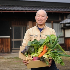 ことのはファーム旬野菜の詰め合わせ