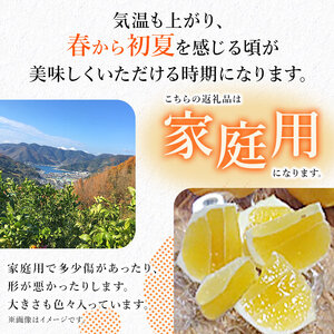 愛媛県西予市産「ニューサマーオレンジ」家庭用 約4kg MMN0001