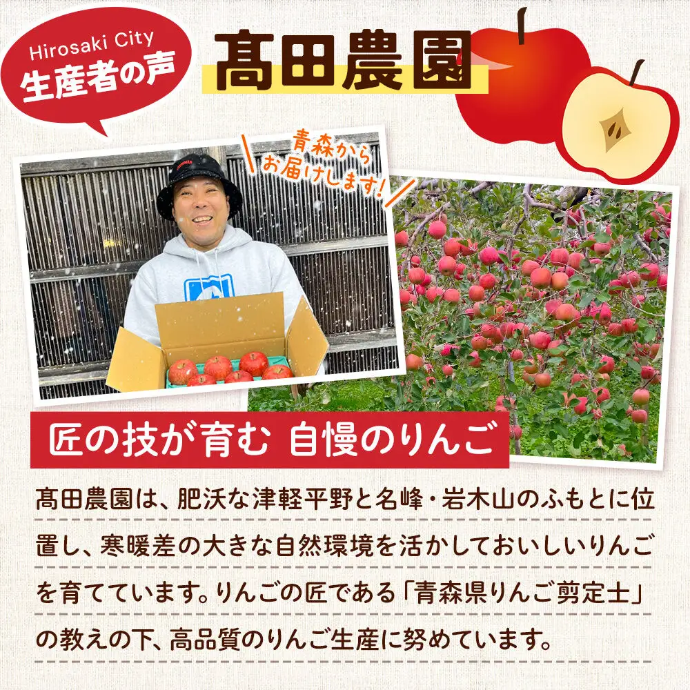 りんご 特選 サンふじ 約3kg【11月下旬～発送】りんご