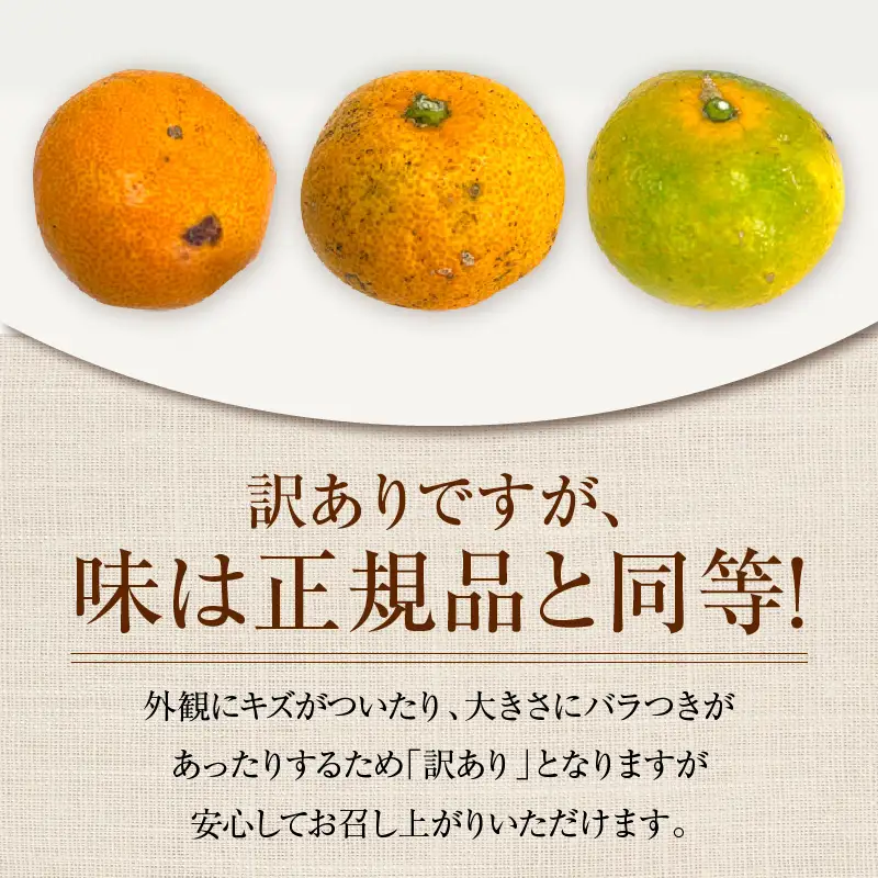 【ふるなびWEEK対象】訳あり 温州みかん 計5kg以上 傷み補償分入り_ZXV4-26