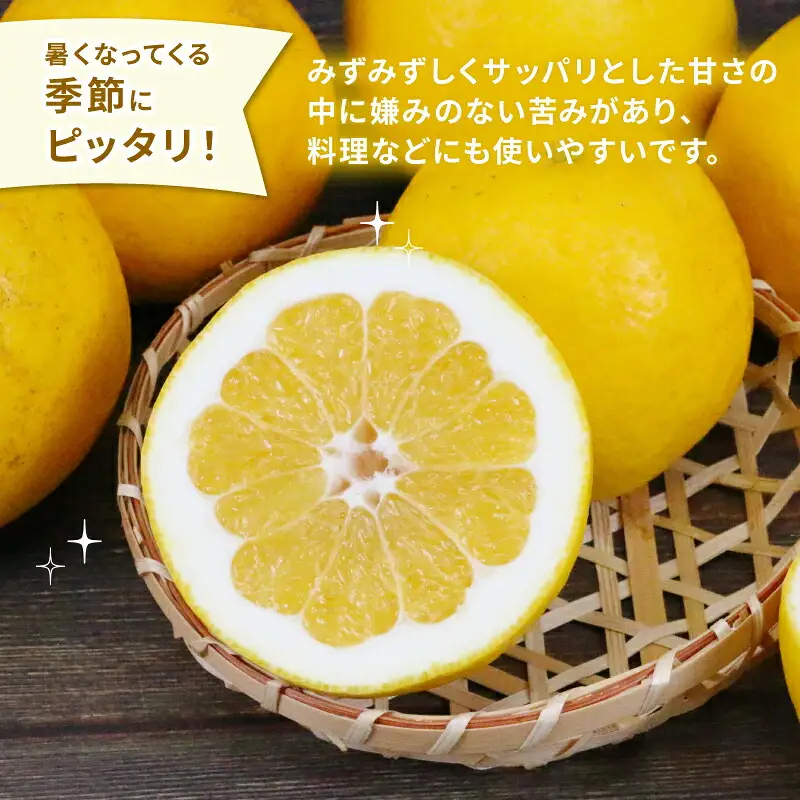 河内晩柑 家庭用 8kg ハマみかん 柑橘 柑橘 B010-075010