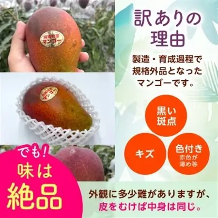 【2027年6月から順次発送・訳あり】アップルマンゴー1.5kg(3～6玉)【配送不可地域：離島】【1494040】