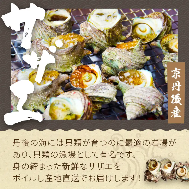 大満足！京丹後・海鮮BBQ　Eセット　豪華盛り合わせ　生ズワイガニ　付　6種21品（4～5人前）（2026年4月中旬～発送） 魚介類 さざえ 蠑螺 カキ かき いか かれい かに カニ ズワイ蟹 バーベキュー アウトドア 個包装 冷凍
