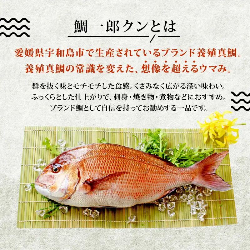 海鮮丼 鯛一郎クン 4食分 コバヤ 海鮮丼 D020-059010