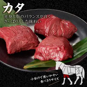 国産 馬刺し 赤身 たれ付き 【カタ】 《福岡肥育》 100g×3 【冷蔵】 176-012