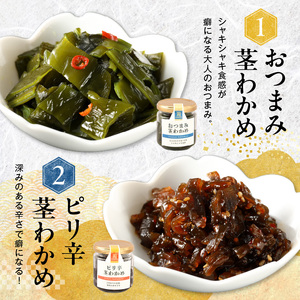 自慢の佃煮・珍味4種セット _U19-0039