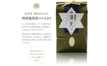 「満天」食べ比べギフト各2kg（ゆうだい21・特別栽培米 コシヒカリ） 白米 精米 米 コメ 天栄米 天栄村 ギフト 贈答 プレゼント F21T-418