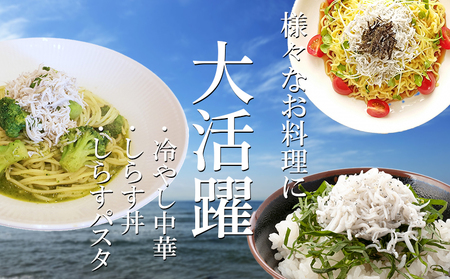釜揚げしらす 1.5kg (500g×3箱) 小分け 減塩しらす