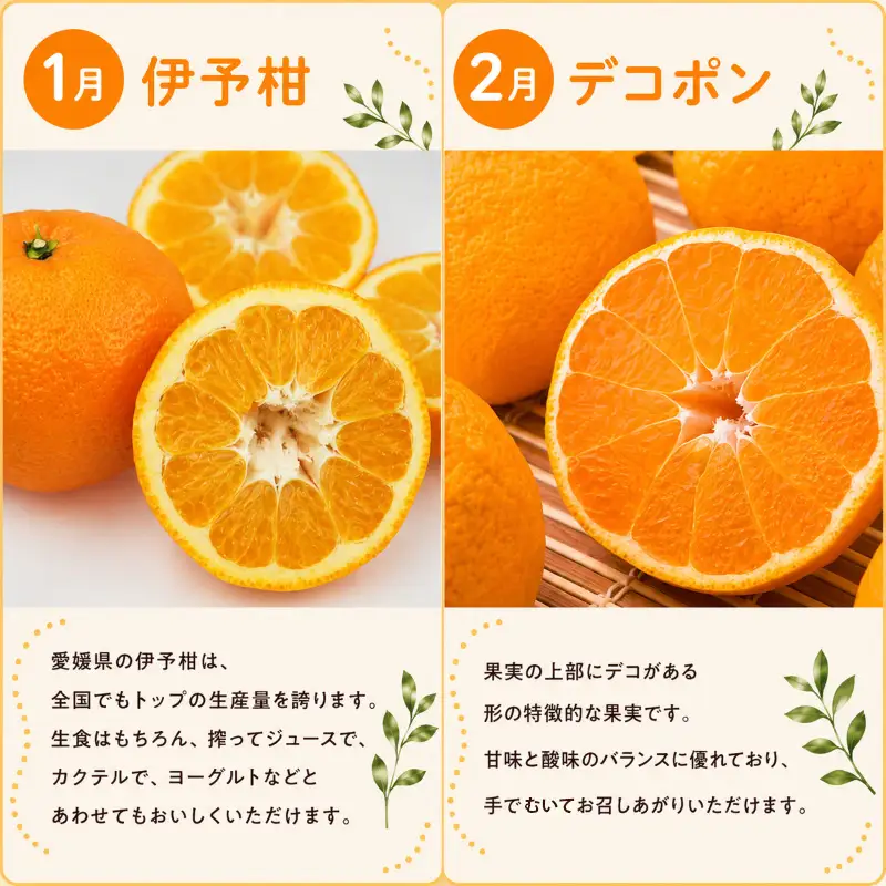 【定期便6回】えひめかんきつ定期便 みかん 紅まどんな 伊予柑 デコポン せとか 河内晩柑 【KBK0112】