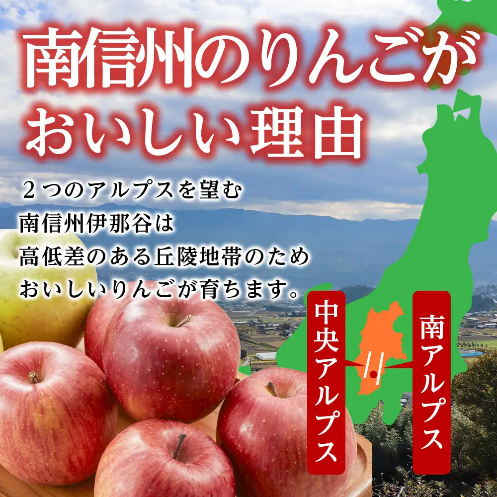 【長野県産!】甘～いりんご(シナノスイート)約5kg 秀品＜2026年10月中旬から発送＞