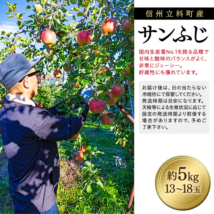 サンふじ（約5㎏、優13～18玉）　