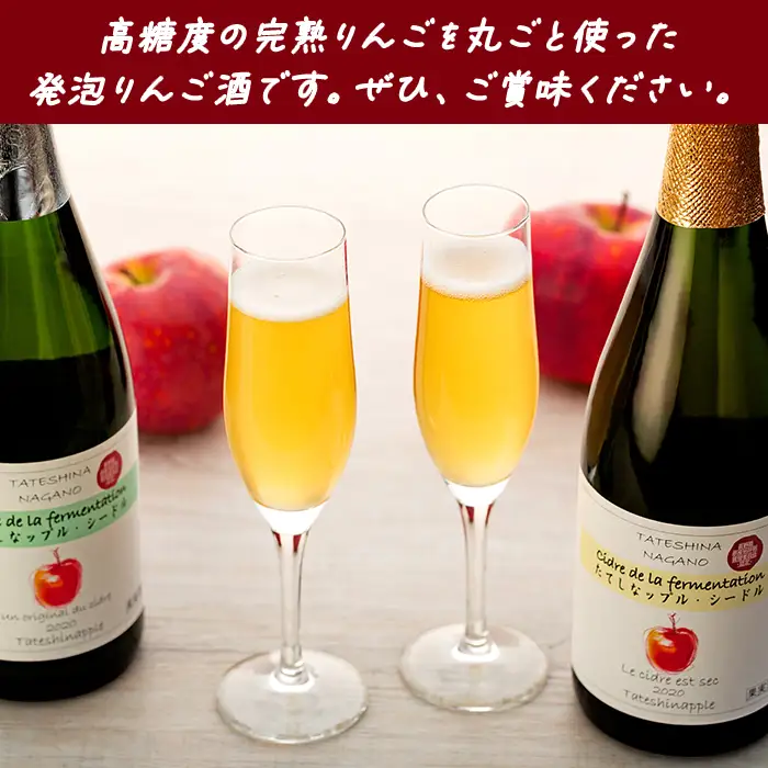 シードル　750mlツインセット（発泡りんご酒）　
