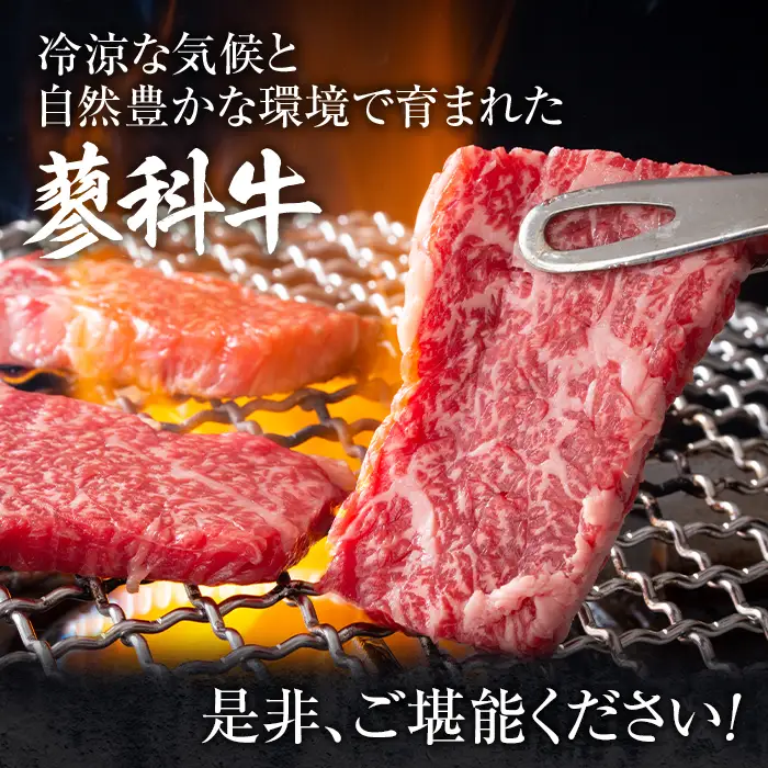 蓼科牛モモ焼肉350g×２