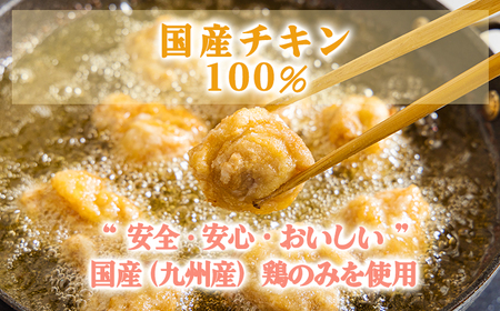 《冷めてもおいしい！》九州産の若鶏の大きな唐揚げ3.0kg(500g×6袋)  TF0775-P00064