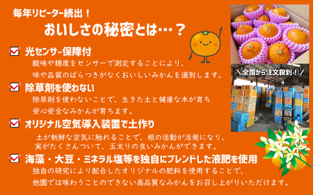 旬の柑橘類詰め合わせセット 約2.5kg 水本オレンジガーデン | 果物 くだもの フルーツ 柑橘類 みかん ミカン 熊本県 玉名市 旬 ざっかん スイーツ 詰め合わせ 産地直送 家庭用