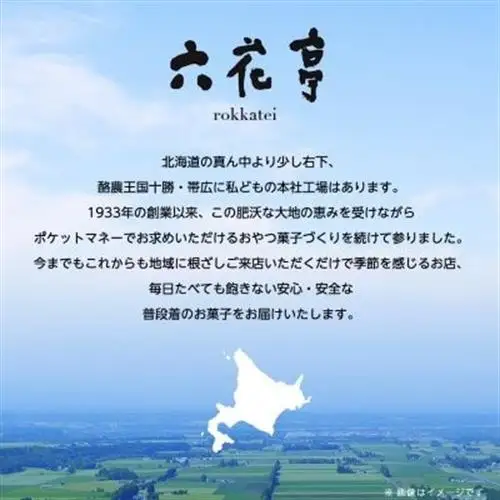 六花亭 ザ・マルセイ 20個入_菓子・スイーツ 焼き菓子  _【配送不可地域：離島】【1505348】