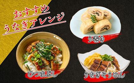 うなぎ蒲焼 特大 無頭 3尾 計約990g タレ付き | うなぎ蒲焼