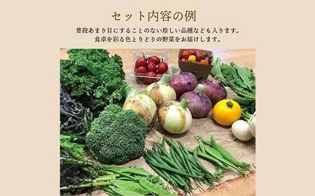 《有機JAS認証》 オーガニック 季節のお野菜が届く定期便（大） 年5回配送 F23R-833