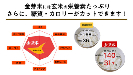 【 令和6年産・10月下旬発送 】【 金芽米 】 つくばみらい市産 コシヒカリ 5kg × 2袋 ( 計 10kg )  金芽米 きんめまい 米 お米 無洗米 茨城県 カロリーオフ 低カロリー 東洋ライス 節水 時短 アウトドア キャンプ