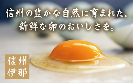 冷凍厚焼玉子　500g×2本入り 伊那 長野県 信州【009-25】