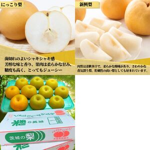 茨城県産 梨【品種おまかせ】約5kg【土浦市産】 ※2026年9月～発送