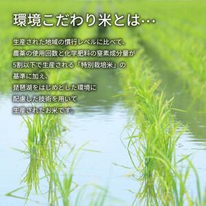 【 先行予約 】 新米 きぬひかり 玄米 10kg 定期便 12ヶ月