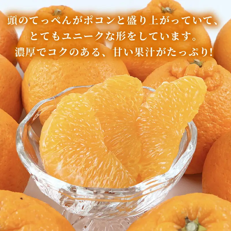 準贈答用 不知火 5kg 矢野青果 デコポン ( デコポン と同品種) B012-171018