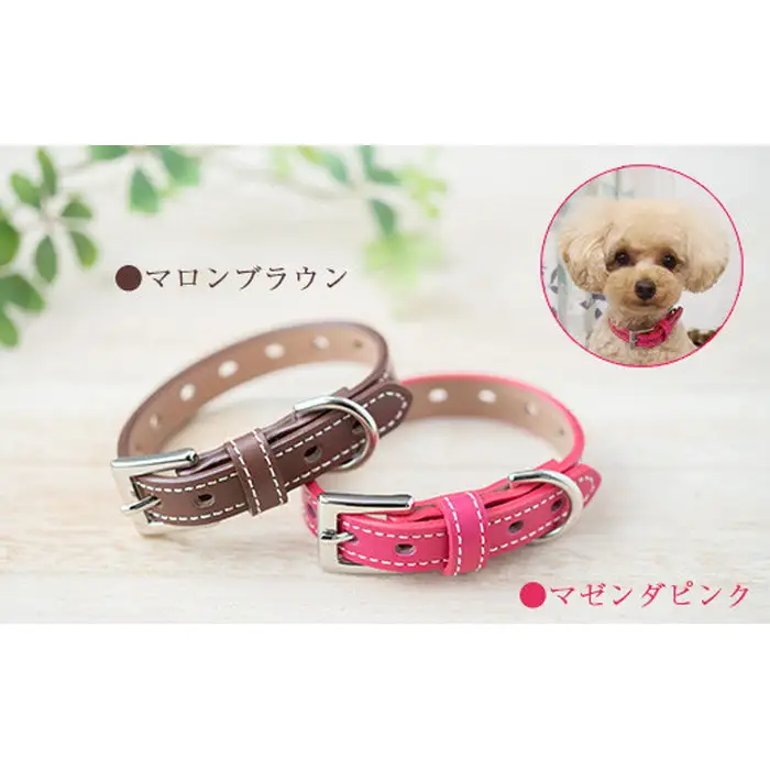 犬首輪 本革製 ペット用品 小型犬 中型犬 犬用品 犬グッズ 犬用首輪 日本製 | 本革 国産人工皮革 ベルエース 耐久性 革職人 愛犬 てるべる 埼玉県 越谷市