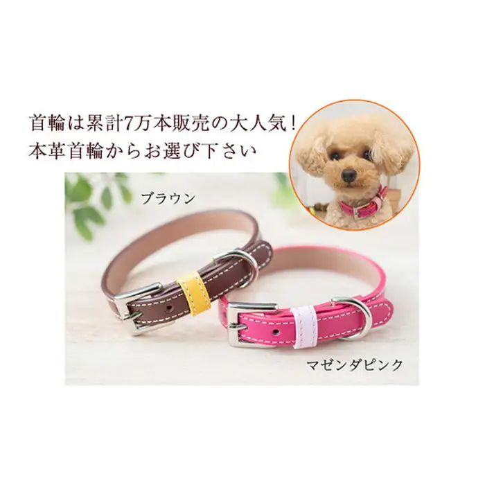 迷子札付き犬首輪 本革製 ネームタグ 日本製 ペット用品 | 犬用 首輪 迷子札 セット ペットグッズ ペット用品 ぶらぶらしない なくならない 愛犬 名入れ オーダー品 おしゃれ 可愛い プレゼント 贈り物 てるべる 埼玉県 越谷市