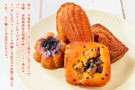 焼菓子 10コ 詰め合わせ マドレーヌ フィナンシェ スイーツ 