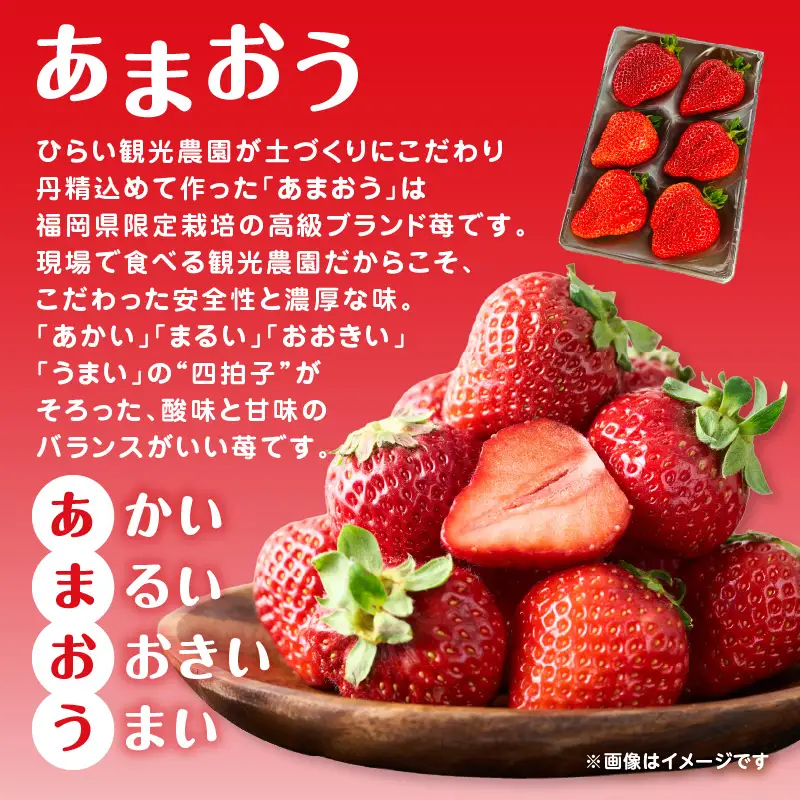 人気の2種いちご食べ比べセット「あまおう 250g」＋「かおり野 250g」合計500g｜2026年12月～順次発送＜ひらい観光農園＞ いちご イチゴ 苺 旬 期間限定 数量限定 デザート フルーツ 食べ比べ 福岡県 八女市065-010