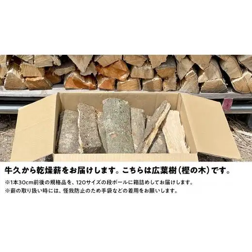 牛久市産 乾燥 薪 樫 ( かし ) 約14kg～16kg