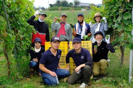 高森町産ぶどう使用 白ワイン 緒 [いとぐち] 750ml×1本