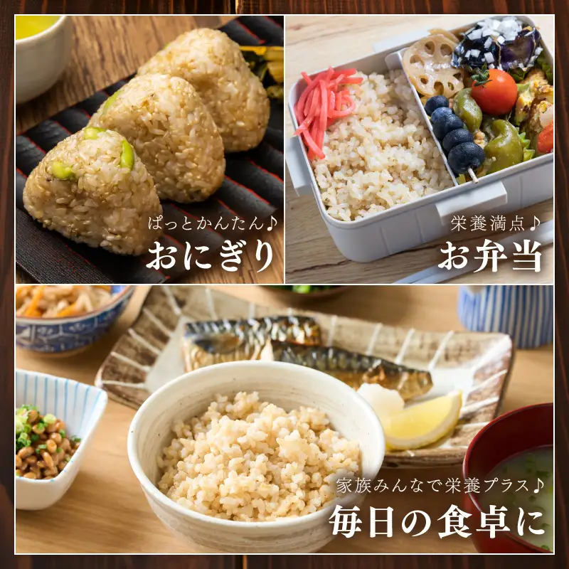 直売所直送「令和7年産　京丹後市産　コシヒカリ」　玄米5kg
