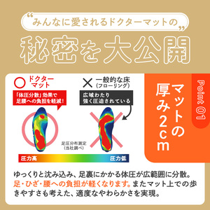 キッチンマット ドクターマットL ブラウン キッチンマット