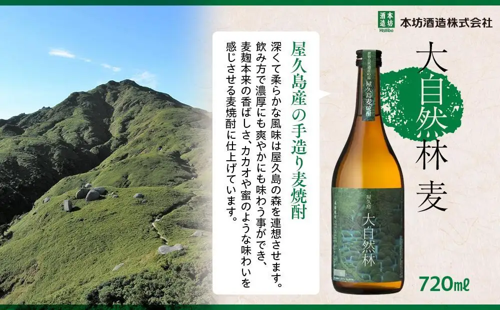 屋久島 大自然林 麦 720ml 12本 屋久島産の手造り麦焼酎＜本坊酒造 屋久島伝承蔵＞