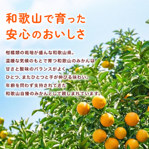 温州みかん 10kg (サイズおまかせ) ※2026年12月中旬～2027年1月下旬に順次発送予定 ※北海道・沖縄・離島配送不可 / ミカン 蜜柑 フルーツ 果物 柑橘 果実 由良町 国産 産地直送 和歌山県 【eiw004-r-10】