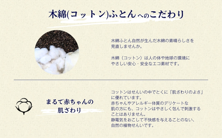 オーガニックコットン 掛ふとん セミダブルロング