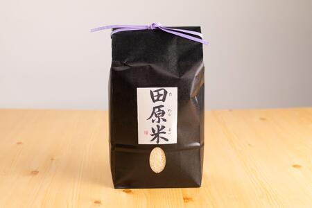 令和7年度産渥美半島米セット 6kg セット 食べ比べ 田原米2㎏×2袋 女神のほほえみ2㎏×1袋 希少米 米問屋直送