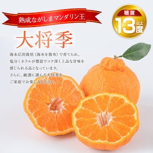 ながしまマンダリン王【露地】(大将季) 約3kg国産 長島 果物 フルーツ 柑橘 みかん オレンジ 詰め合わせ【ながしまマンダリングループ】mandarin-7196