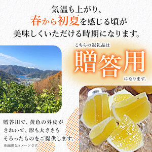 愛媛県西予市産「ニューサマーオレンジ」家庭用 約4kg MMN0012