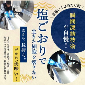まぐろ 【訳あり】和歌山の天然マグロ 冷凍 計1kg【scp003C】 