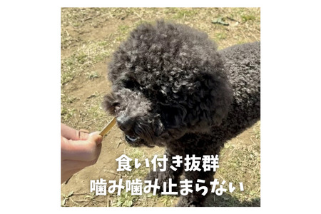 6-70 デンタルケアに天然鹿の皮ガムセット中型犬用 ALPDW002