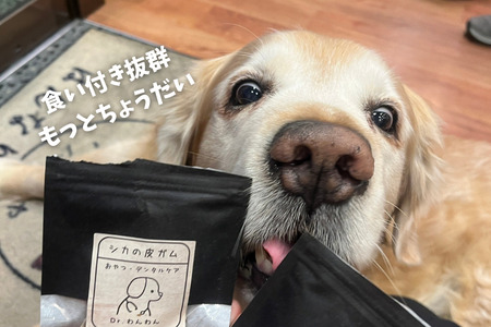 6-71 デンタルケアに天然鹿の皮ガムセット大型犬用 ALPDW003