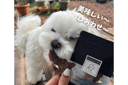 6-79 南アルプスの天然鹿肉ジャーキー栄養満点欲張りセット ワンちゃんの贅沢おやつ ALPDW011