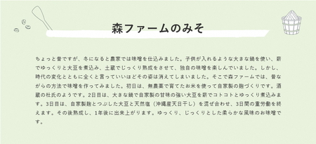 【無添加】おかず味噌 下仁田ねぎ 3個セット _BI90