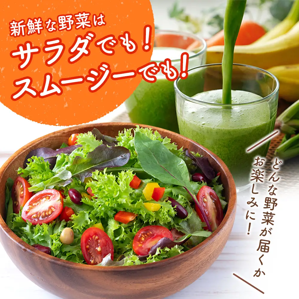 野菜 産地直送！旬の野菜（5～8種類）・ドレッシング  B643-2608
