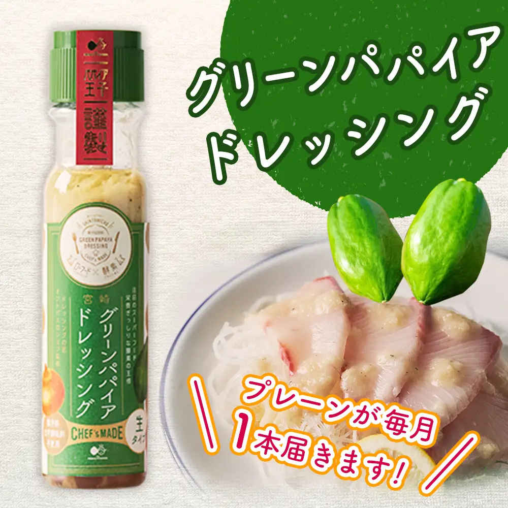 産地直送！旬の野菜（5～8種類）＆ドレッシング セット 全6回 隔月定期便 2か月に1回お届け おまかせ 詰合せ 宮崎県新富町産 E214-2608