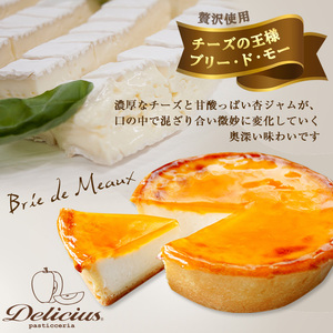 ＜新登場＞「デリチュース」チーズケーキ(2個)チーズケーキ ベイクドチーズケーキ お菓子 スイーツ ケーキ 冷凍 大阪土産 誕生日 記念日 お取り寄せ ギフト 贈答 プレゼント【m22-04】【株式会社デリチュース】