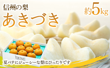 【2026年/令和8年発送分 】梨 長野 あきづき 約5kg 信州の梨 シャリッとみずみずしい梨です フルーツ 果物 デザート なし ナシ あきづき アキヅキ 産地直送 長野県 信州産